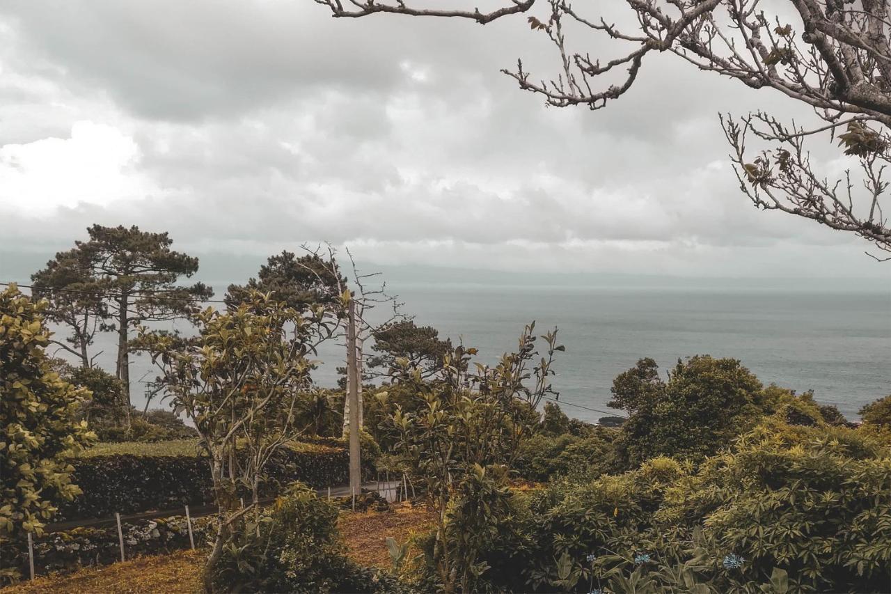 Prainha  Adegas Do Pico 빌라 외부 사진